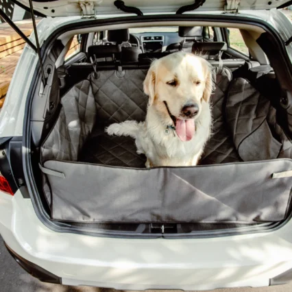 HARLEY AND CHO Autosedačka pre psa Hammock seat protector