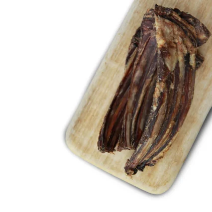 escapure jelenie rebra pre psa susene