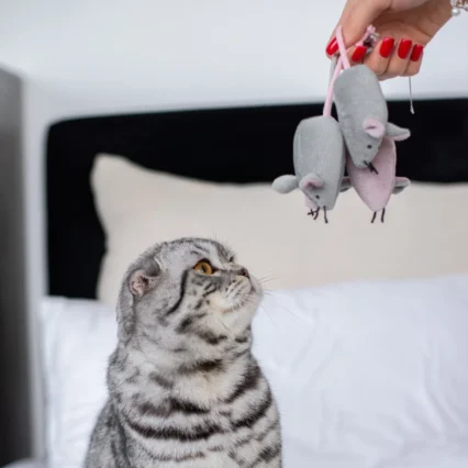 HARLEY AND CHO Hračka Myška Just Maria