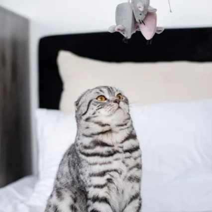 HARLEY AND CHO Hračka Myška Michelle