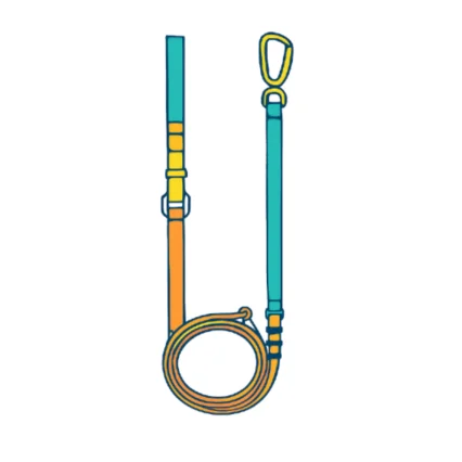 Dog walking accessories