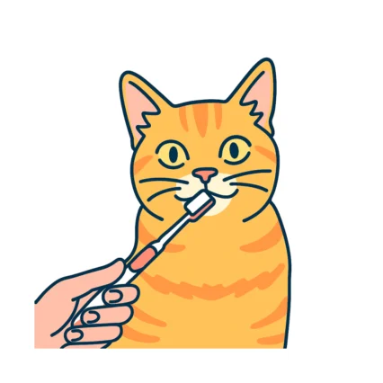 Fur, Dental, and Claw Care