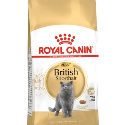 Royal Canin FBN Cat British Shorthair – granule pre britské krátkosrsté mačky