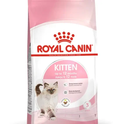 Royal Canin FHN Cat Kitten – granule pre mačiatka
